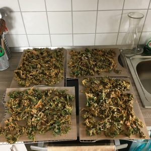 Gr Nkohlchips Selber Machen Gr Nkohl Rezepte Careelite