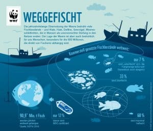 Berfischung Der Meere Ursachen Folgen L Sungen Careelite