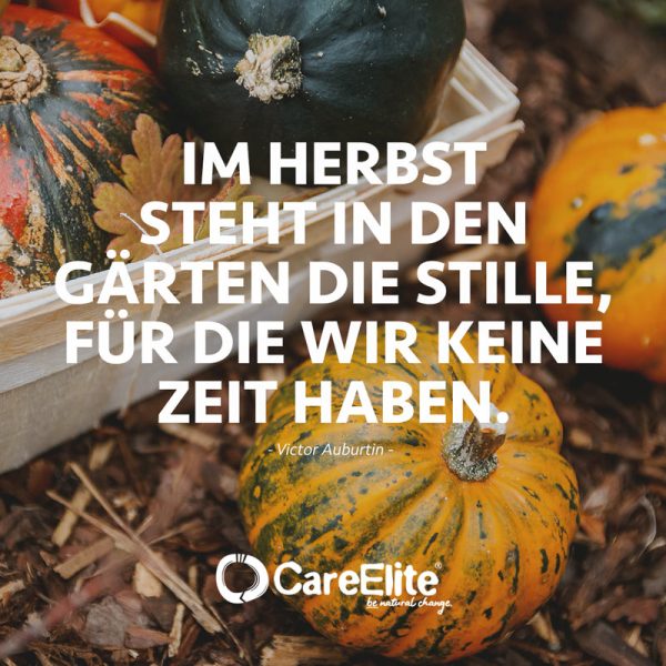 Herbst Zitate Spr Che Ber Laub Bl Tter Careelite