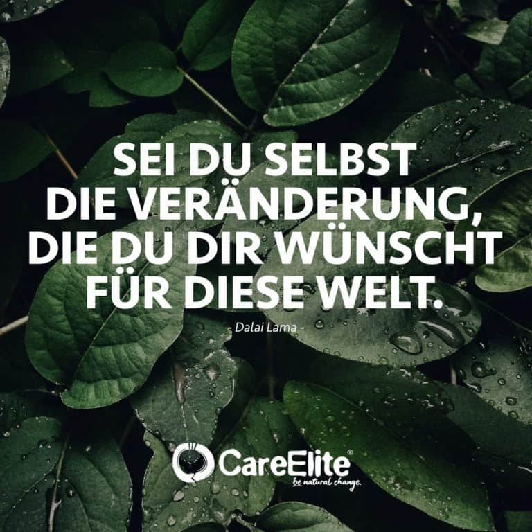 66 Umweltschutz Zitate & Nachhaltigkeit Sprüche | CareElite