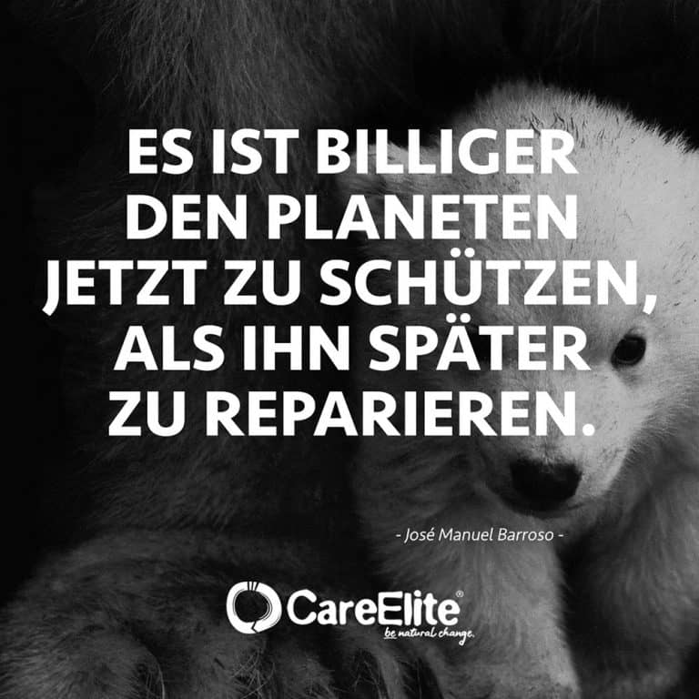 70 Umweltschutz Zitate & Nachhaltigkeit Sprüche • CareElite