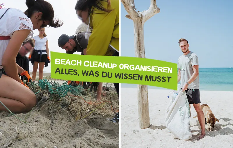 Organize Plastic Waste Beach CleanUp and clean up the beach