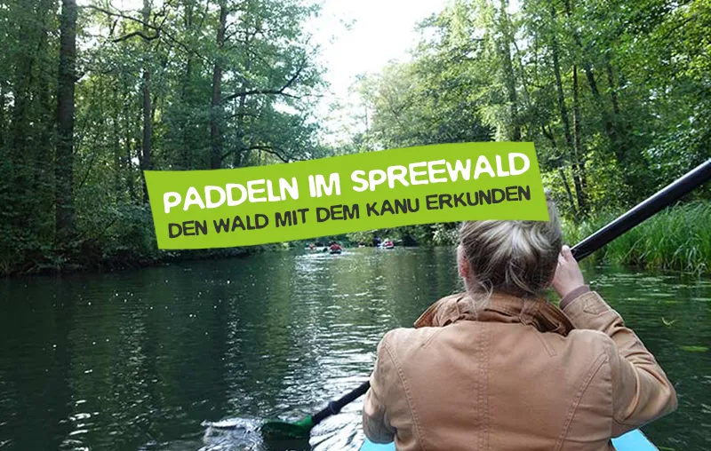 Paddeln im Spreewald mit dem Kanu