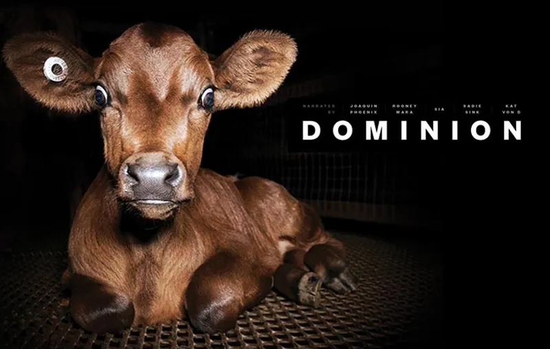 Dominion Film – This Award-Winning Documentary Will Change Your Life