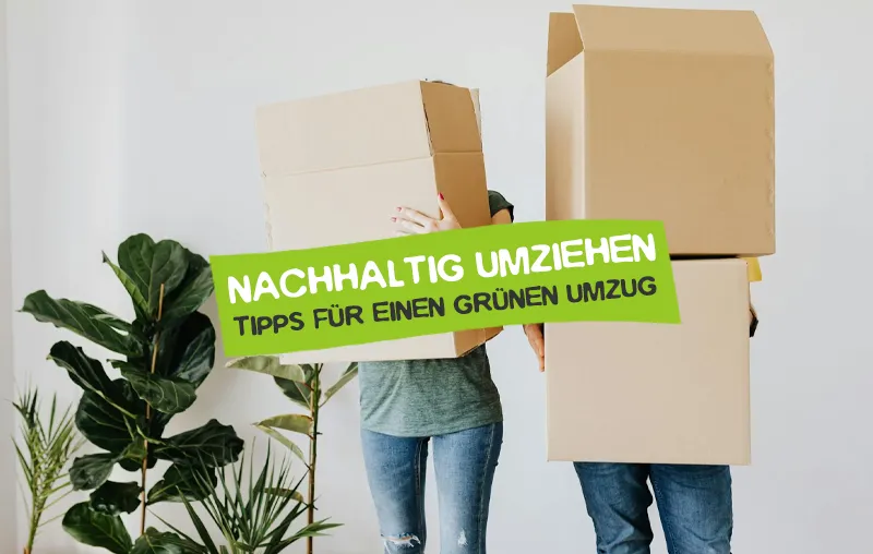 Nachhaltig umziehen – Die besten Tipps für den umweltfreundlichen Umzug