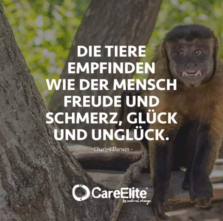 48++ Sprueche fuer meinen mann , Charles Darwin Zitate 26 inspirierende Sprüche CareElite