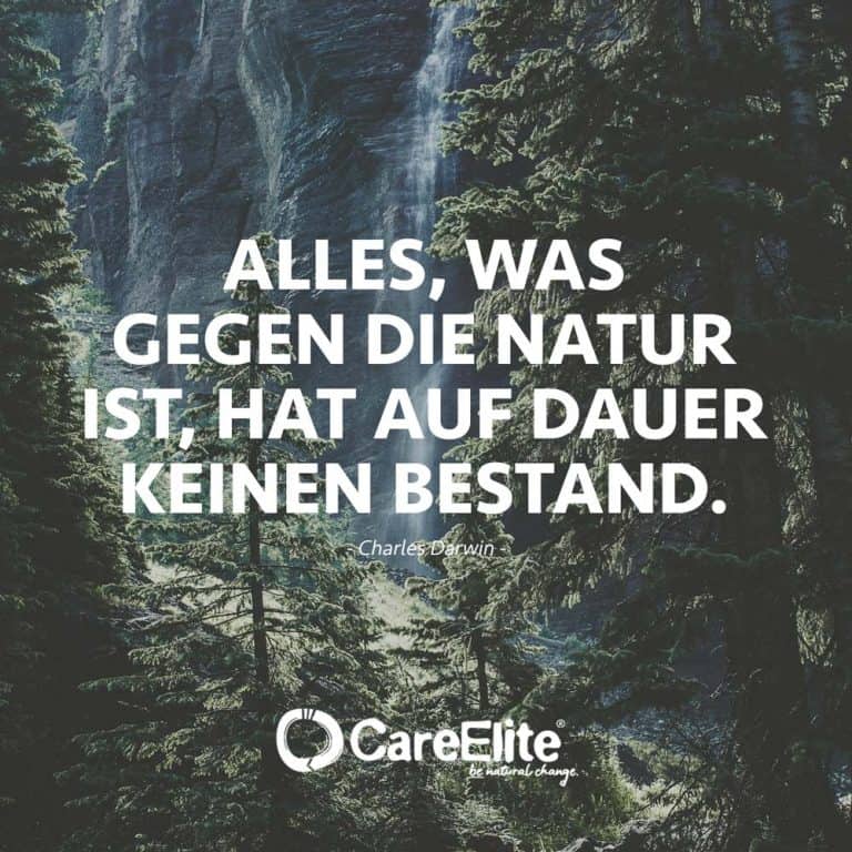 36++ Einer liebt immer mehr sprueche , Zitate zum Nachdenken 100 Sprüche zum Grübeln CareElite