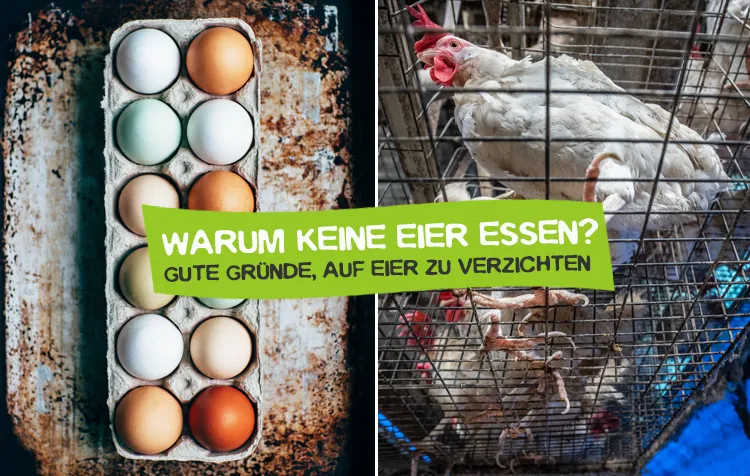 Sollten Veganer Eier essen?