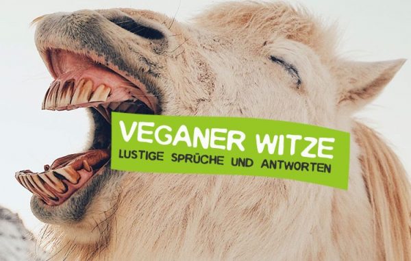 Veganer Witze Bilder: Lache mit deinen eigenen Zeichnungen!