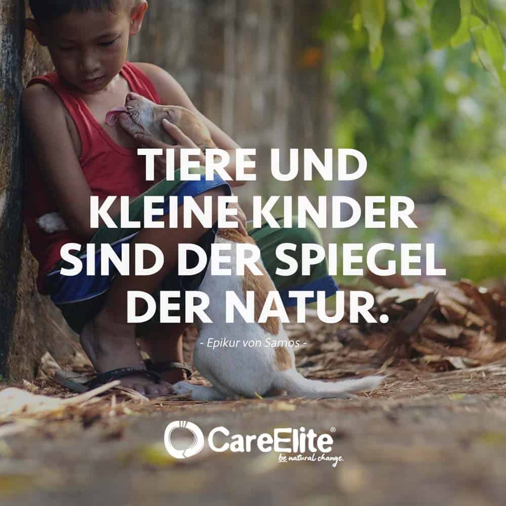 Zitate zum Leben