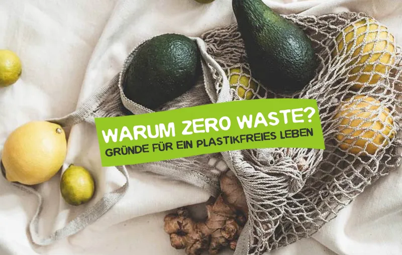 Warum Zero Waste? Gründe für ein möglichst plastikfreies Leben