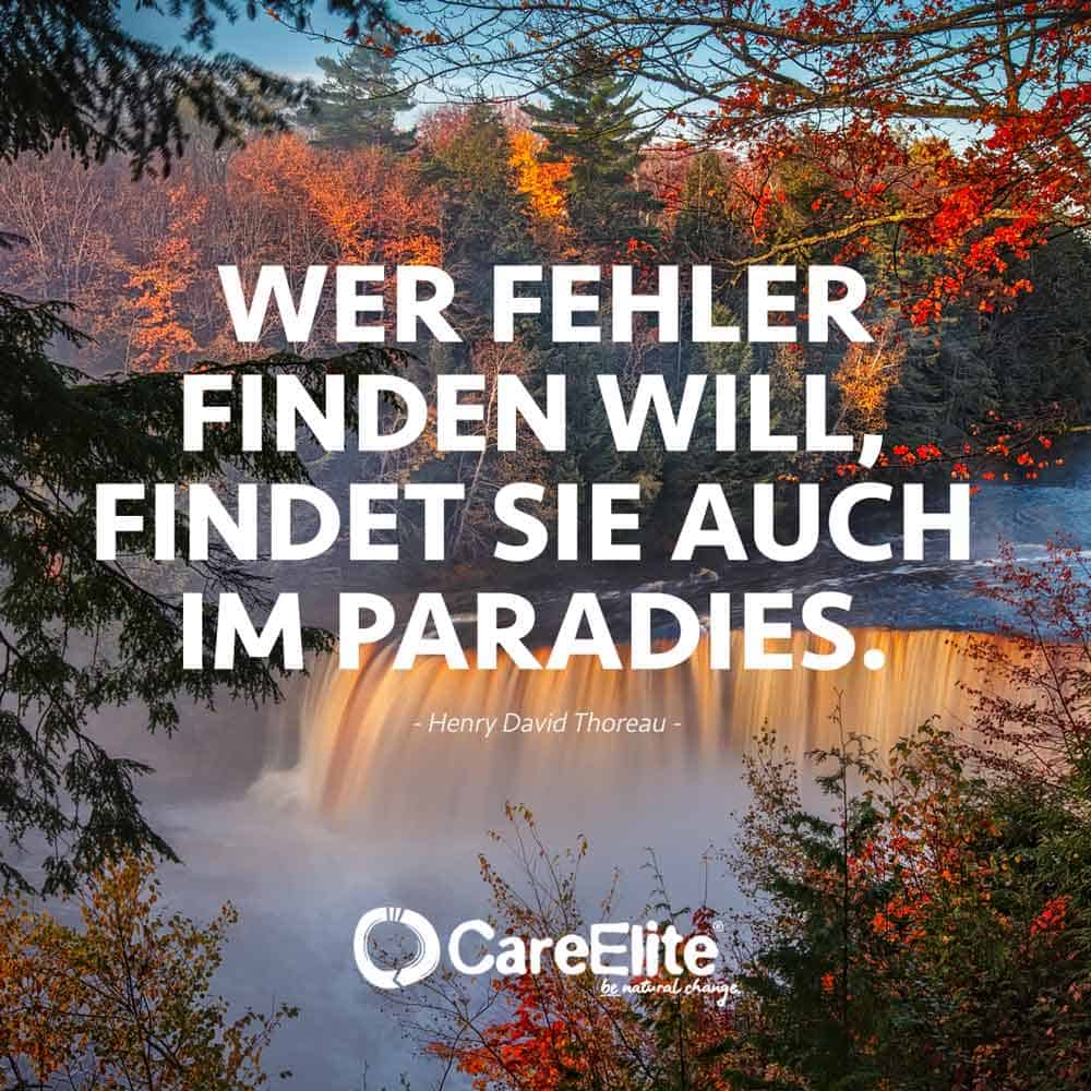 Aus Fehlern lernen Zitate