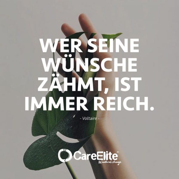 Reichtum Zitate 90 Sprüche über Geld & Armut CareElite