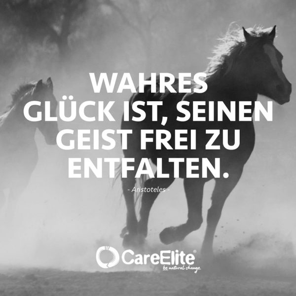 Aristoteles Zitate: 36 Wertvolle Sprüche & Weisheiten • CareElite