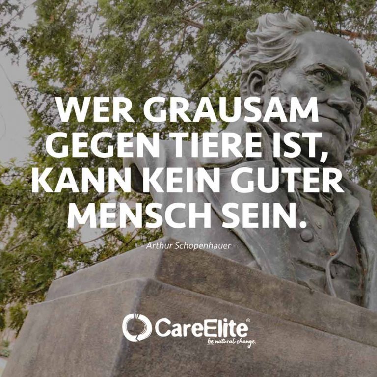 Arthur Schopenhauer Zitate: 30 wertvolle Sprüche • CareElite