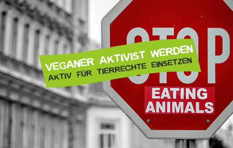 Veganer Aktivist werden – Die besten Tipps