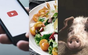 The 7 Best Vegan YouTube Channels - CareElite