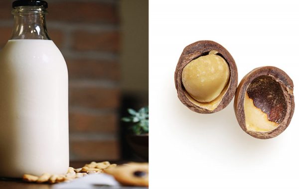 Make Your Own Macadamia Milk Without Tetrapak Careelite