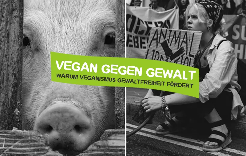 Vegan gegen Gewalt: Der Einfluss des Veganismus auf die gewaltfreie Gesellschaft