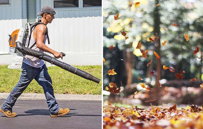 Are Leaf Vacuums and Leaf Blowers Harmful To The Environment? 10 Reasons For Sustainable Alternatives