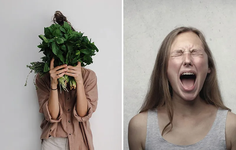 Annoying Things Phrases Vegans Get to Hear Often