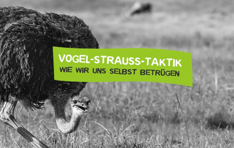 Vogel-Strauß-Taktik - Was ist das?