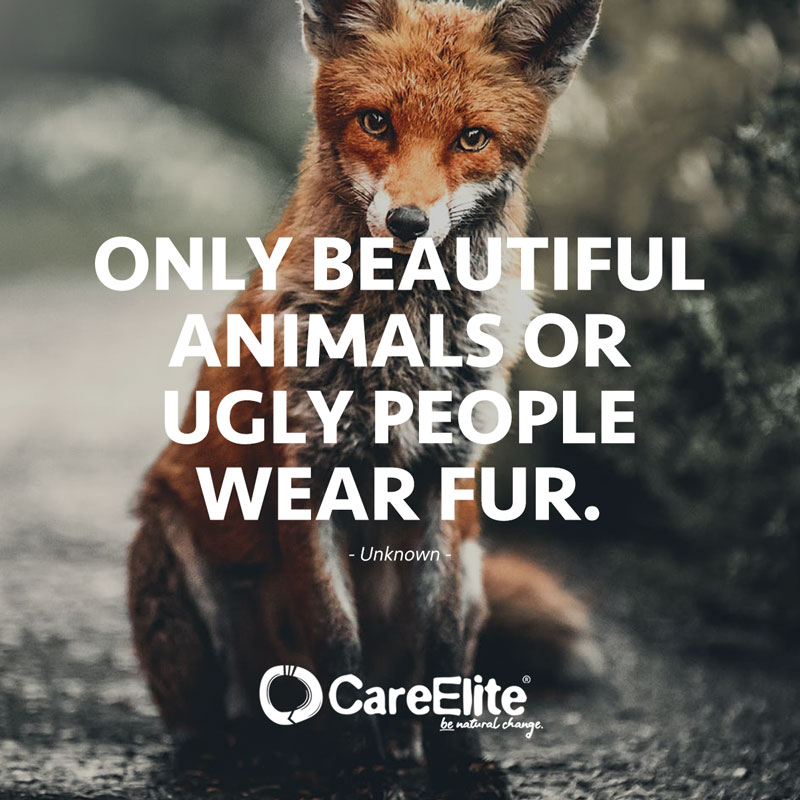 animal cruelty quotes sayings