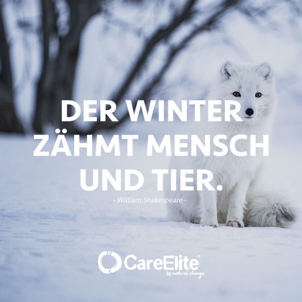 Winter Zitate 30 Sprüche über Schnee & Eis • CareElite