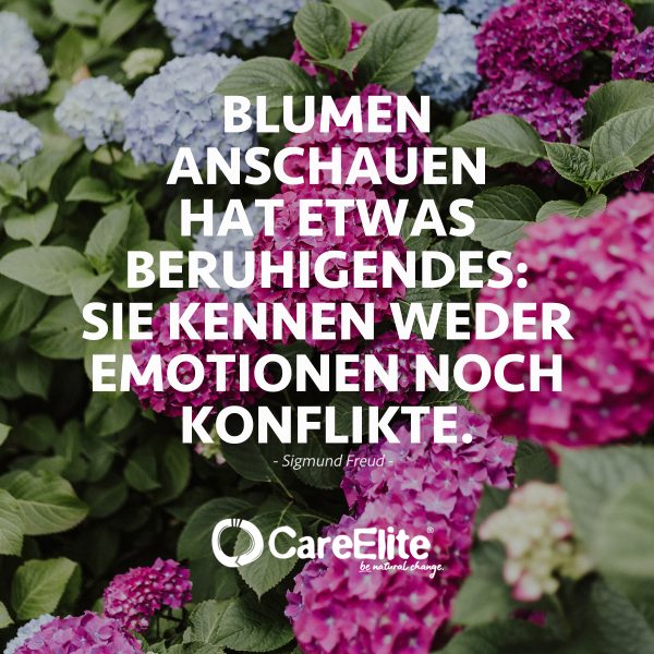 Gefühle Zitate: 50 Sprüche über Emotionen • CareElite