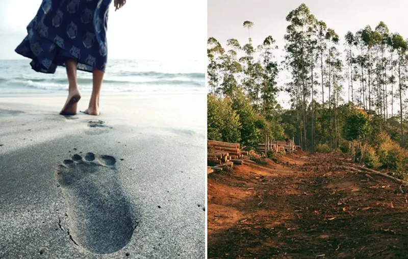 Reduce Your Ecological Footprint – Tips And Things, Everybody Can Do