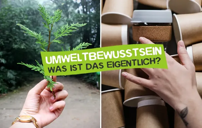 Was ist Umweltbewusstsein?