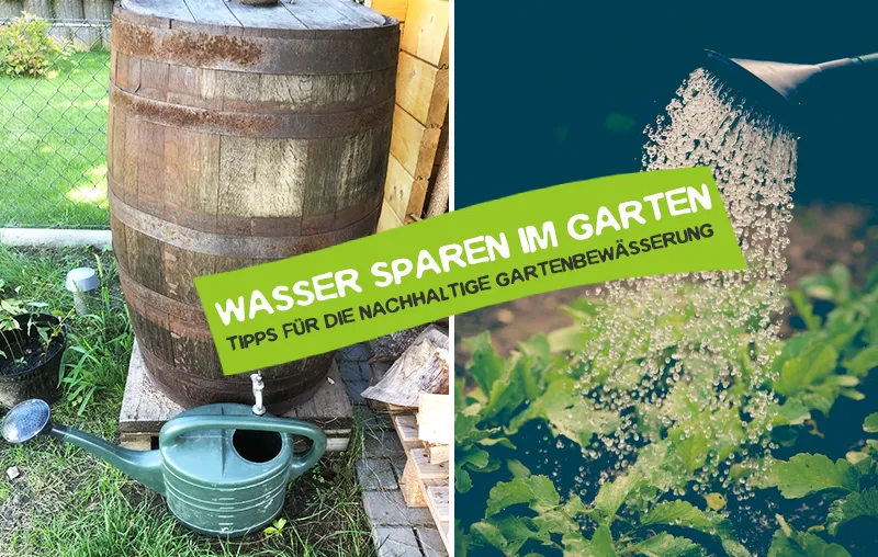 Wasser sparen im Garten – Die besten Tipps für eine effiziente Bewässerung und weniger Gießen