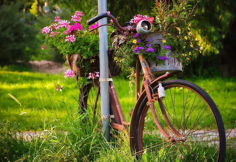 Ein altes Fahrrad als Deko wiederverwendet