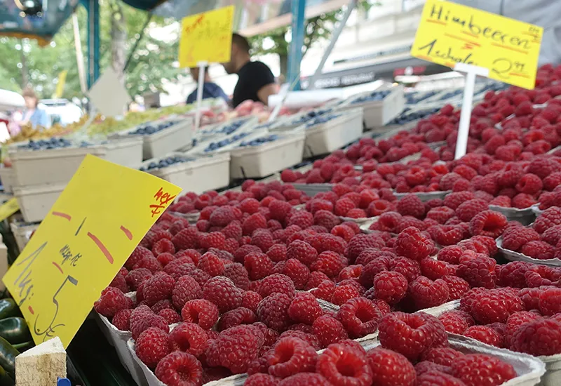 Einkauf auf regionalem Wochenmarkt vermeidet Chemikalien