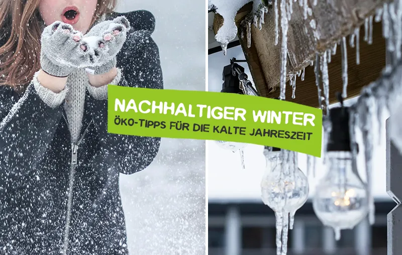 Nachhaltiger Winter – Die besten Tipps für eine umweltbewusste kalte Jahreszeit