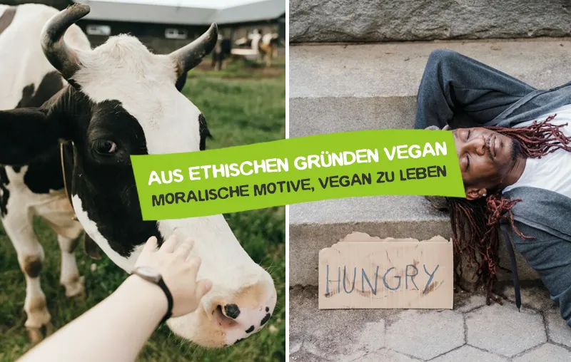 Aus ethischen Gründe vegan – Die besten moralische Motive dafür, vegan zu leben