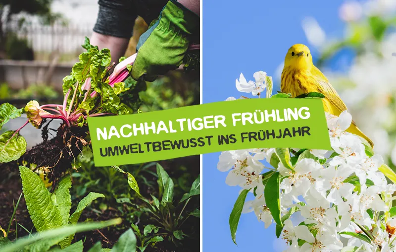 Nachhaltiger Frühling – Die besten Tipps für einen umweltbewussten Start ins Frühjahr