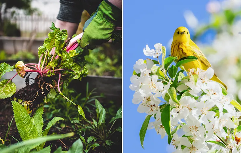 Sustainable Spring – The Best Tips for an Eco-Friendly Start to the Spring Season