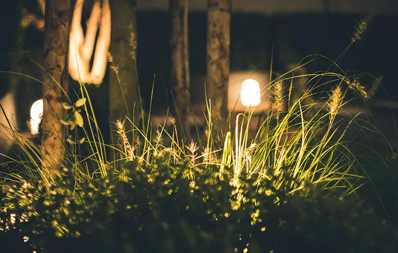 Sustainable Garden Lighting – Smart Tips for Eco-Friendly Outdoor Illumination