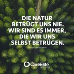 65 Umweltschutz Zitate & Nachhaltigkeit Sprüche | CareElite