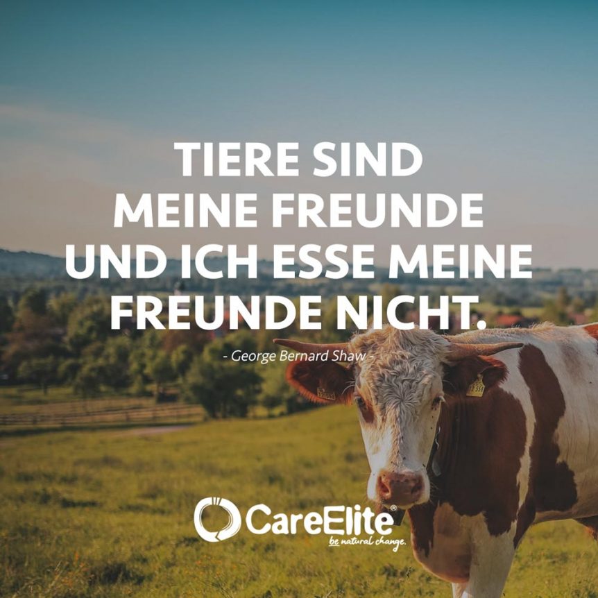 52 Tierschutz Zitate Sprüche gegen Tierquälerei CareElite