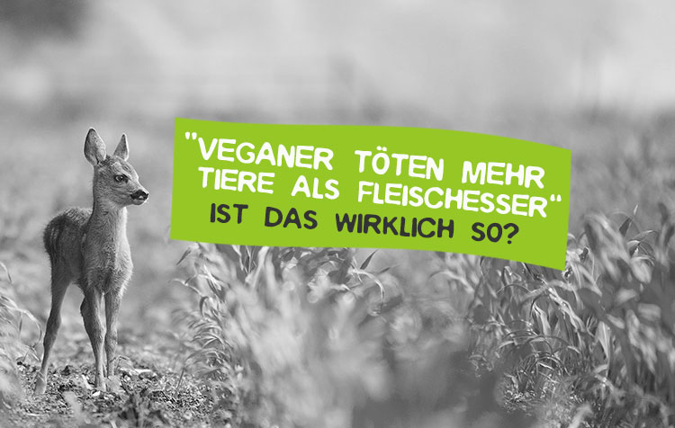 Veganer Toten Mehr Tiere Als Fleischesser Stimmt S Careelite